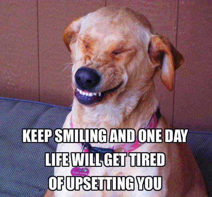 1012264_614437035298536_198282095_n