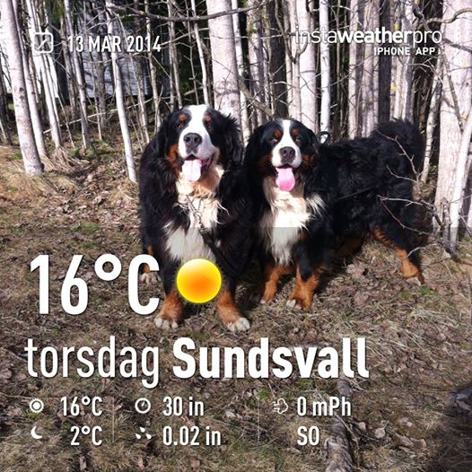 923483_10152009979061274_455984591_n