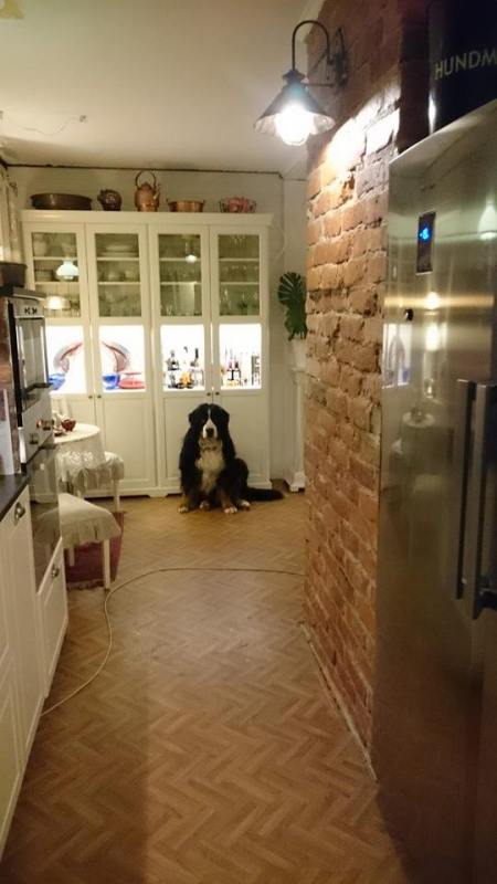 10394853_10152435479561274_4783480902358189657_n