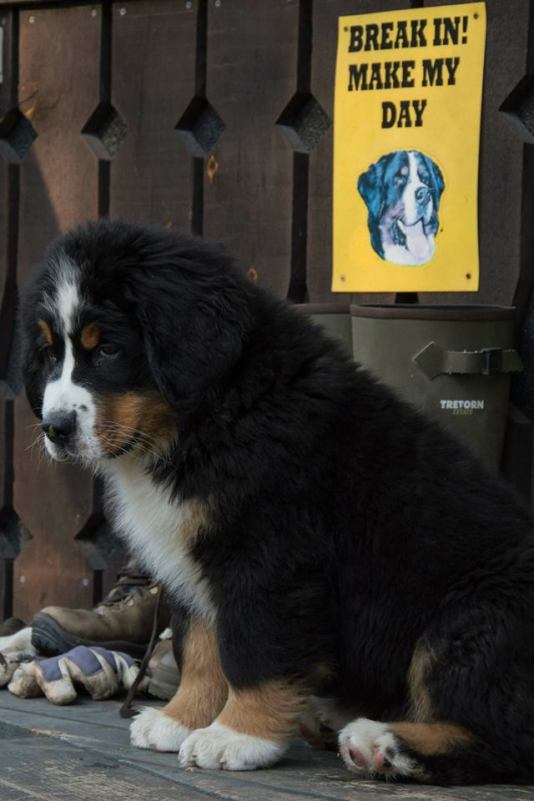 10616014_10152413787851274_1392511422863876681_n