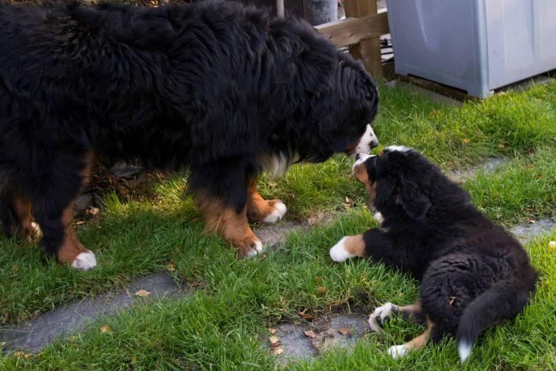 10682275_10152413787741274_5480076674789185498_o