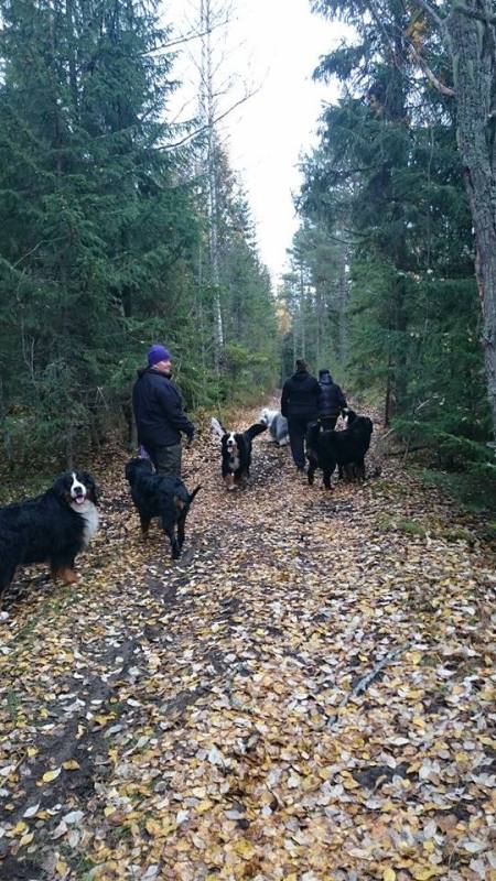 10696311_10152452428501274_4877515421290223915_n