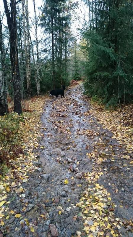 1379301_10152451155256274_159385744378203520_n