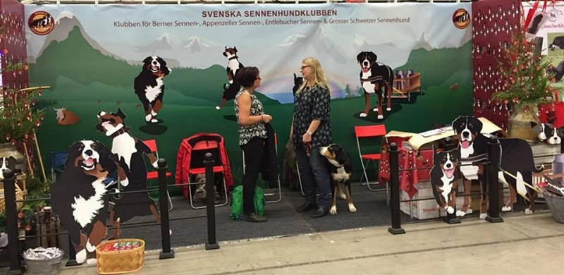 10433696_10152569203496274_3907007203074884699_n