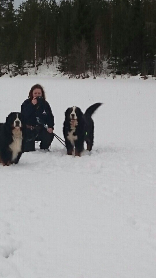 PART_1419952374716_mms_img-127309373