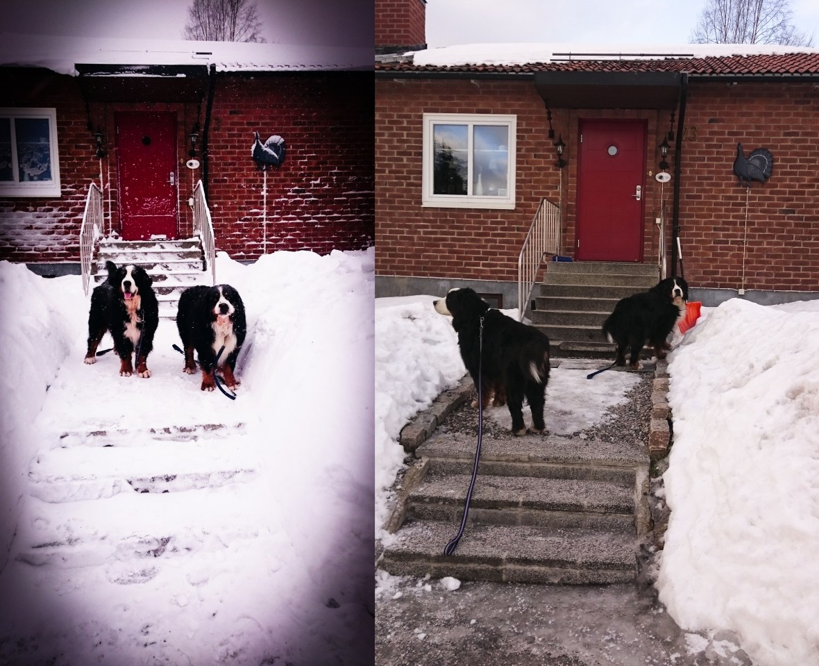 PSX_20150201_111314-horz