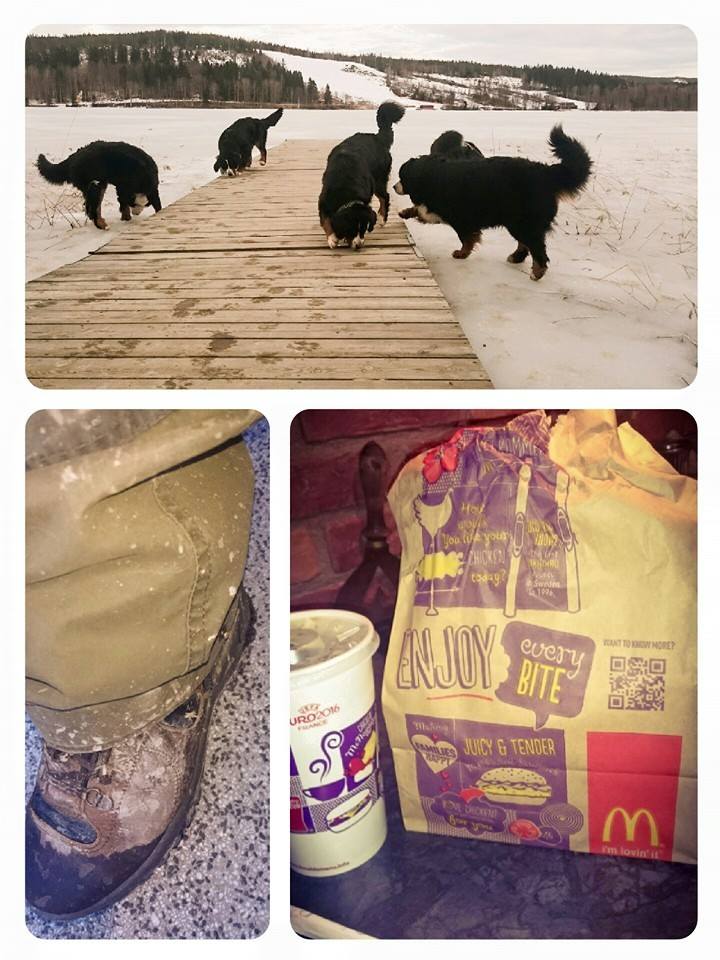 10989101_10152817468626274_2954503907003386419_n