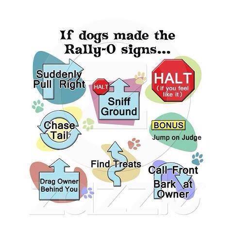 11071408_10206565194154958_5130456164827651478_n