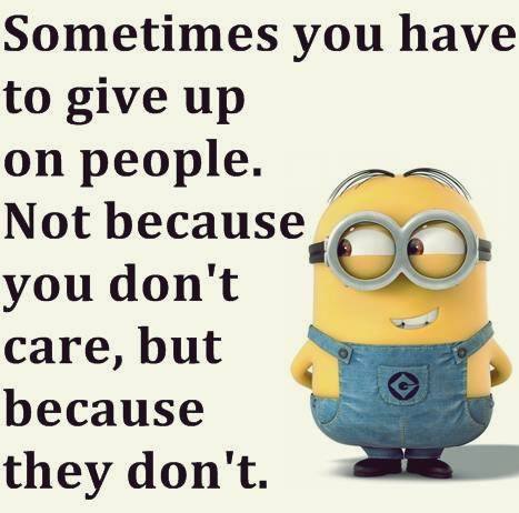 11350433_522882401194618_4997910131214948268_n