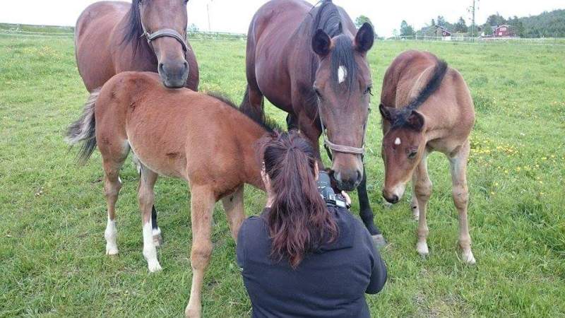 received_10153045712588095