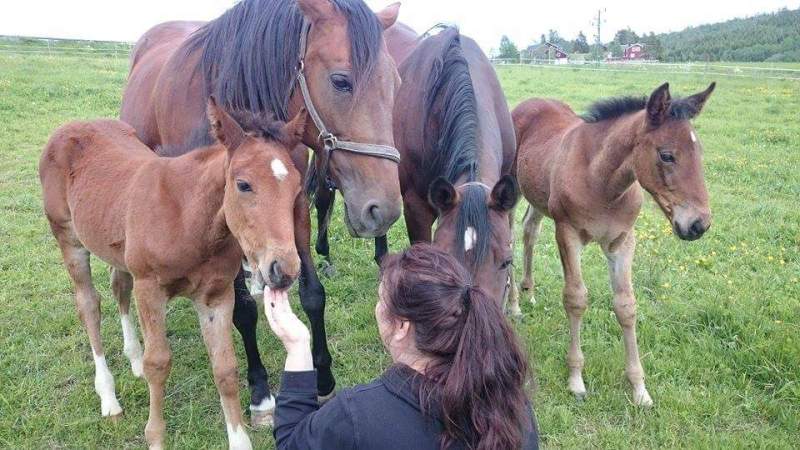 received_10153045712628095