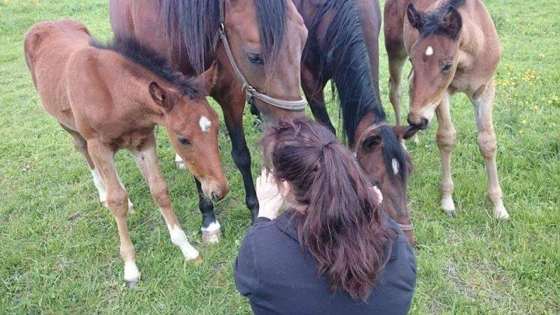 received_10153045712648095