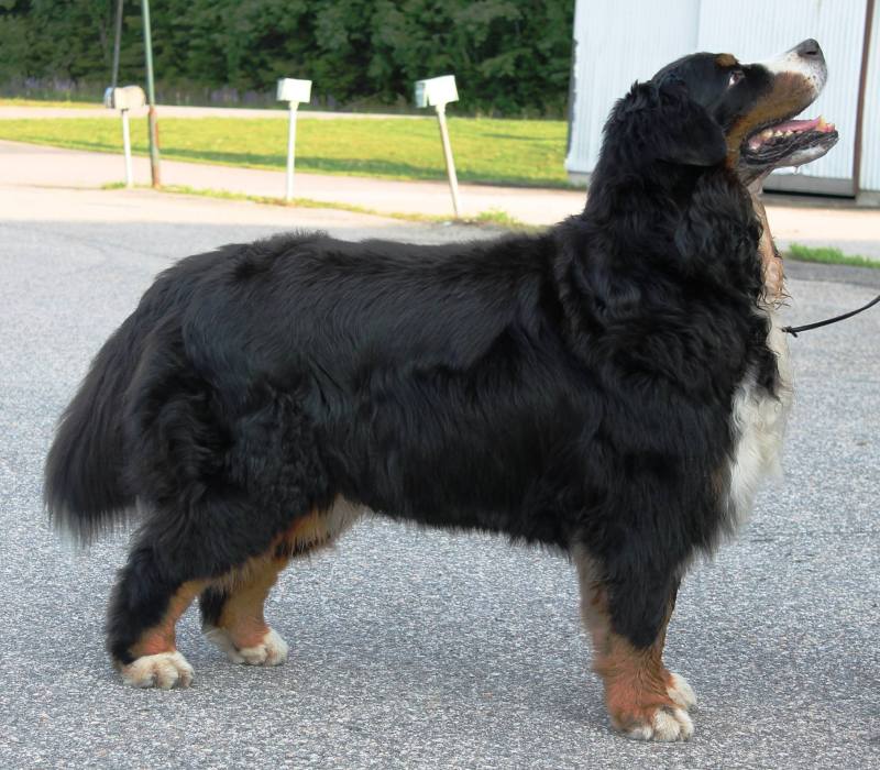 11709692_1030731576959689_696711172886019483_o