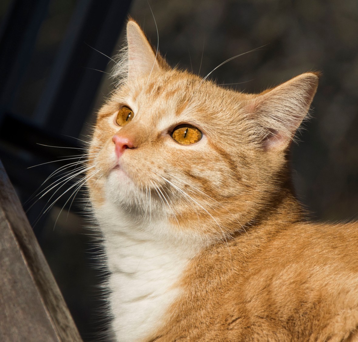 redaktionen20160311081