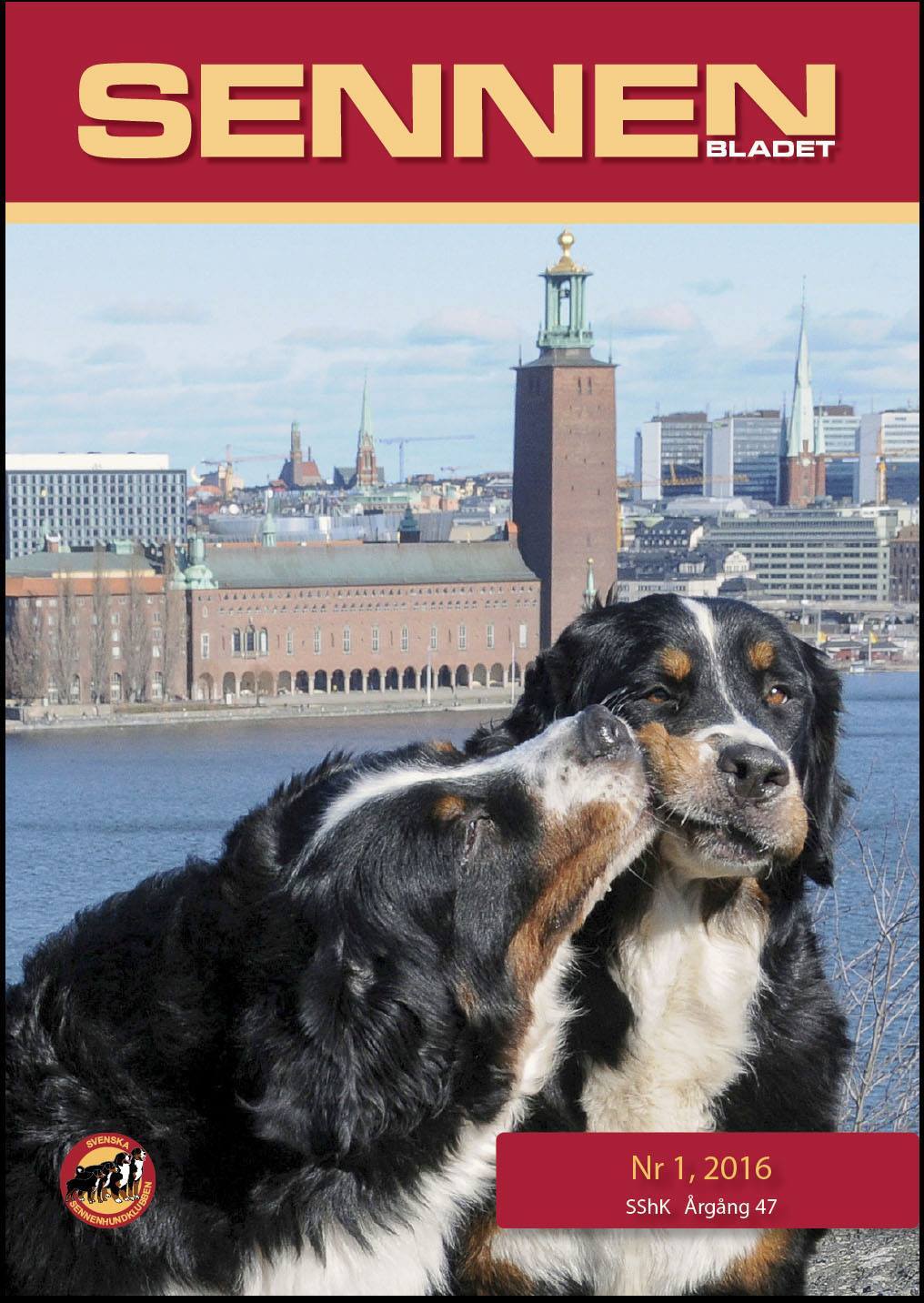 12891669_844786782316009_5702635388528868812_o