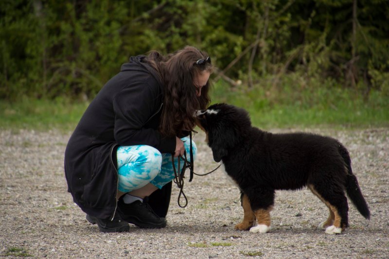 valpkurs 15 veckor23