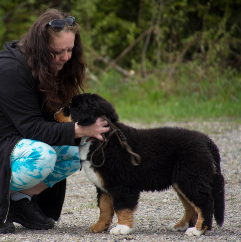 valpkurs 15 veckor24