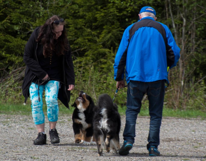 valpkurs 15 veckor25