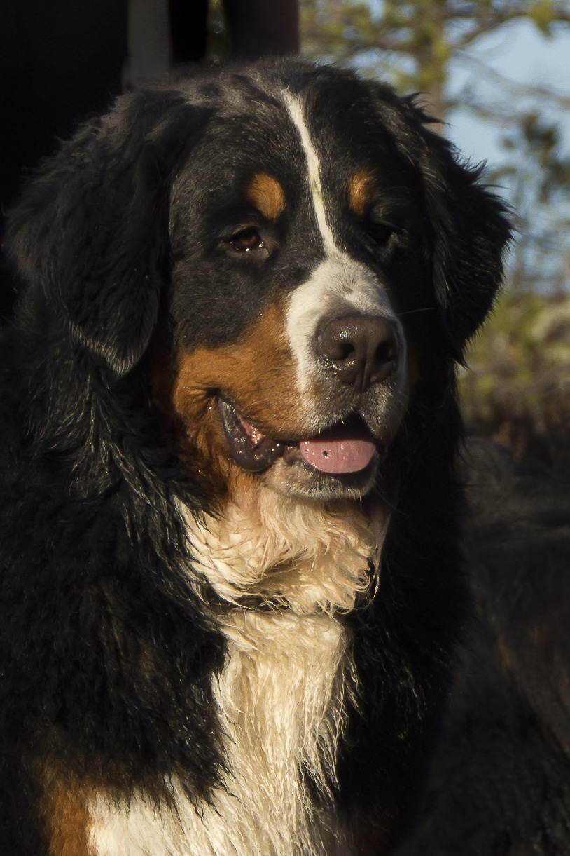 oktoberacu_6794_2293