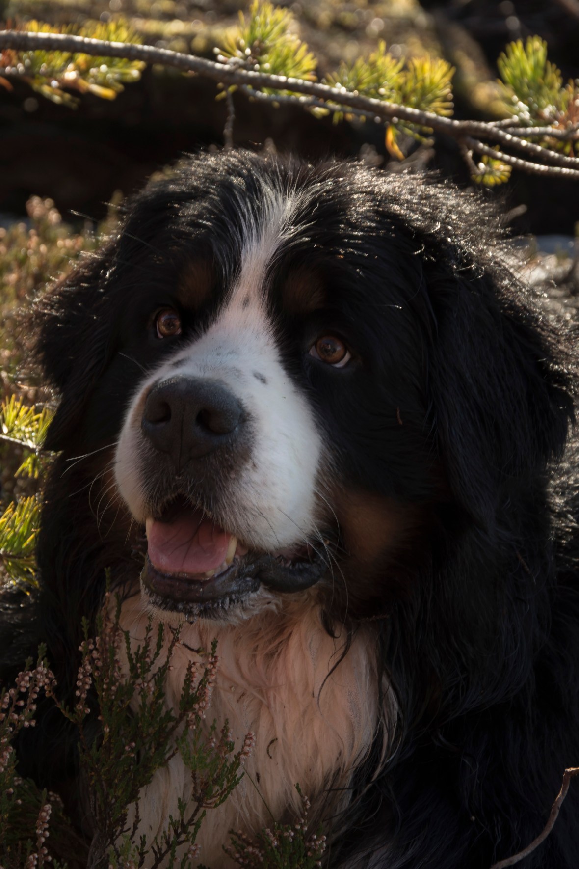 oktoberacu_6807_2306