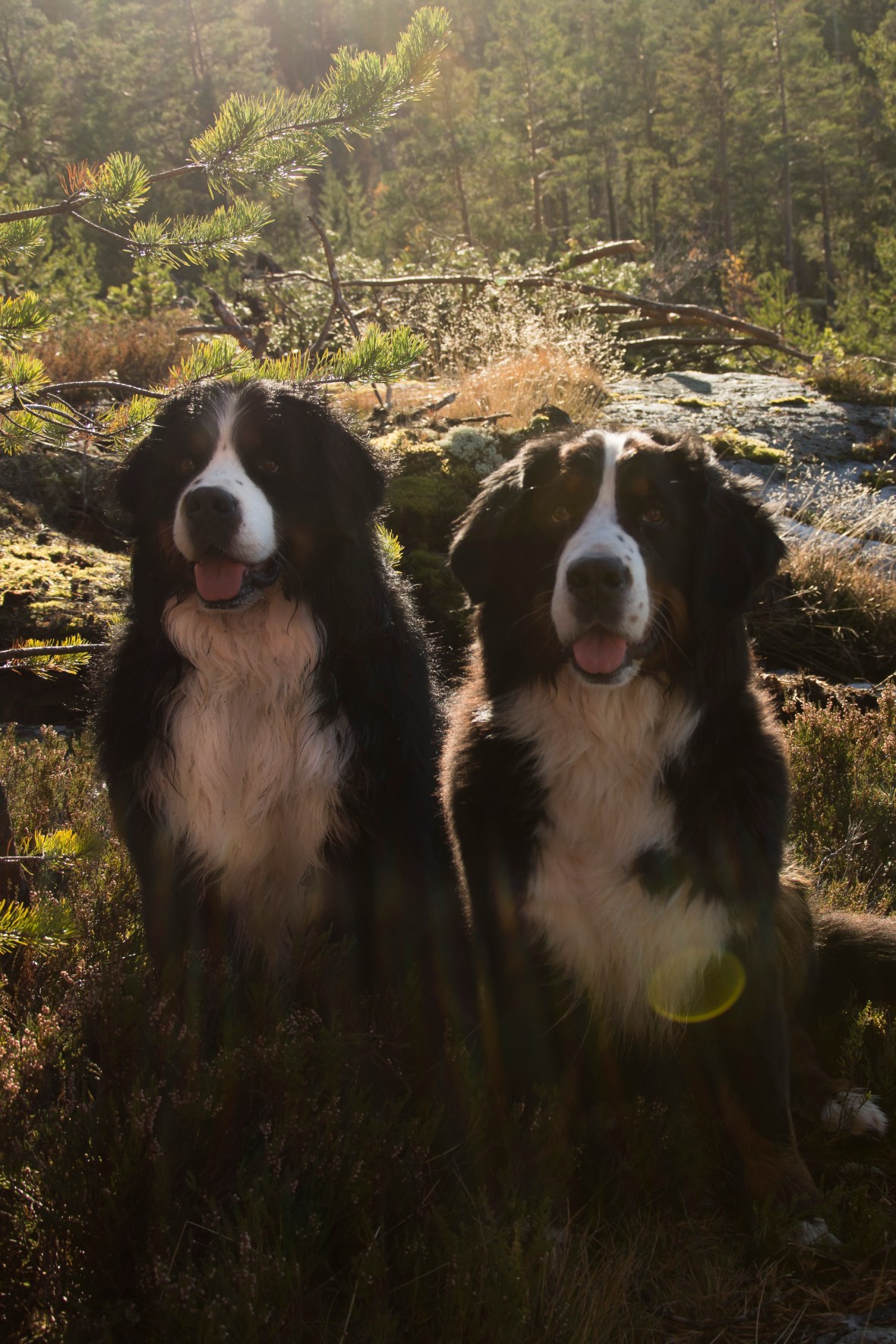 oktoberacu_6826_2325