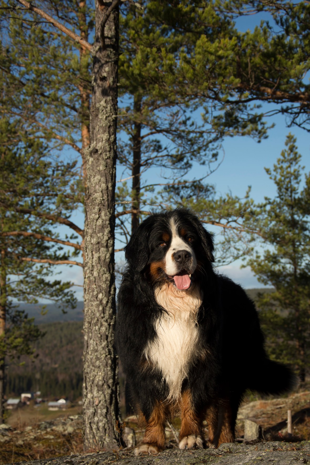 oktoberacu_6835_2334