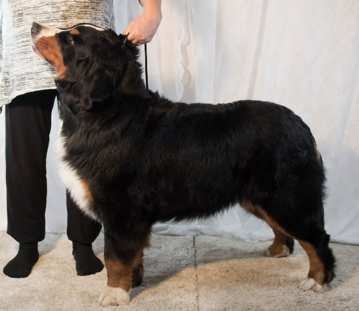 oktoberacu_7009_2468_1