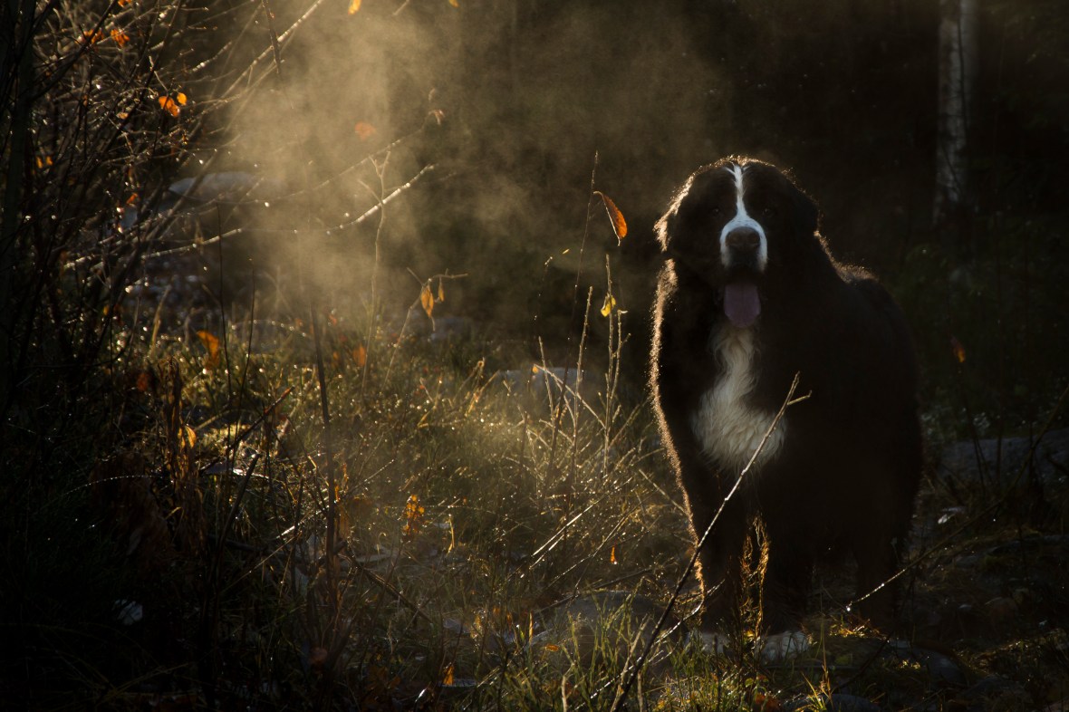 oktoberoktoberacu_6786_2285