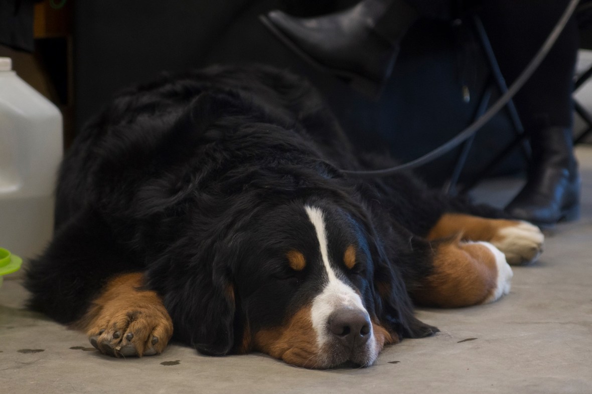 15491815_10206210554101877_448294558_o