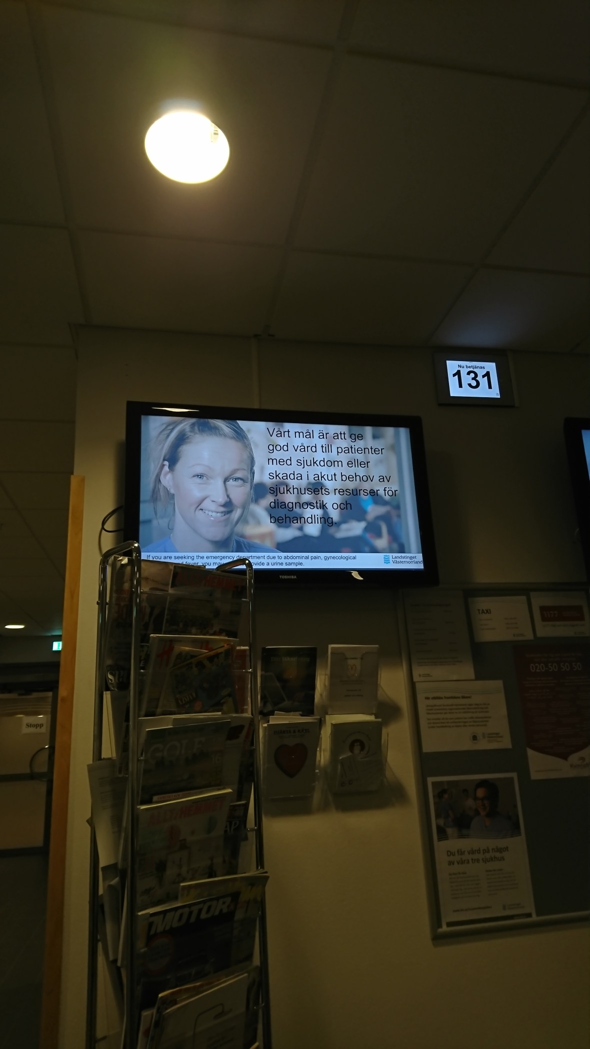 wp-1485634915400.jpg