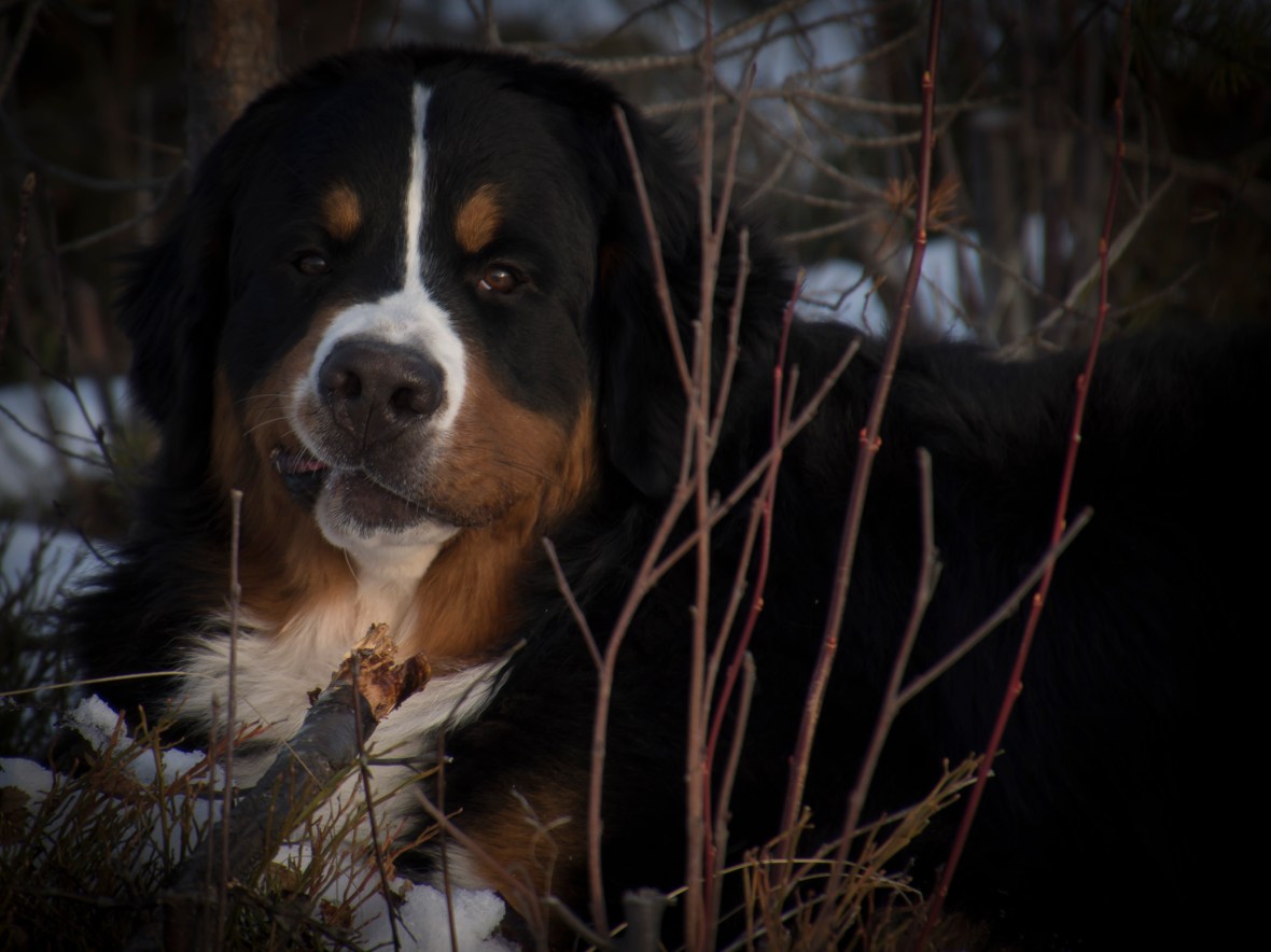 135