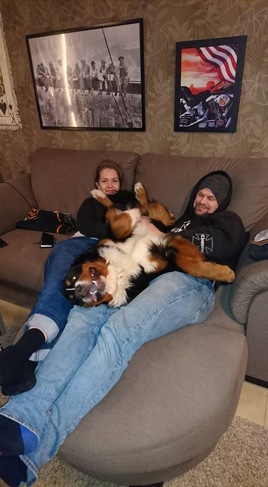 15380675_10154189128966274_4746368344973110082_n