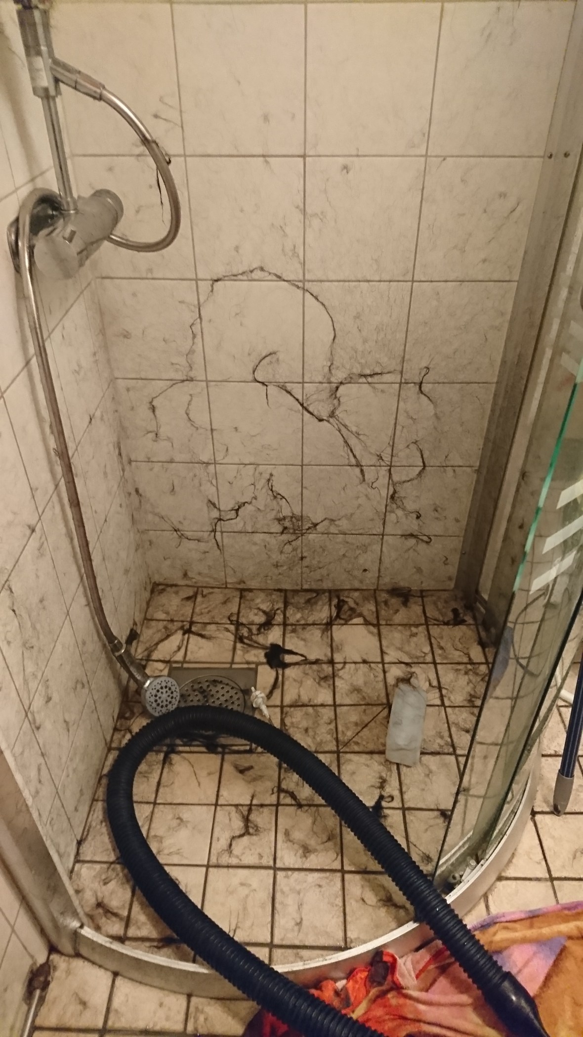 wp-1486070075686.jpg