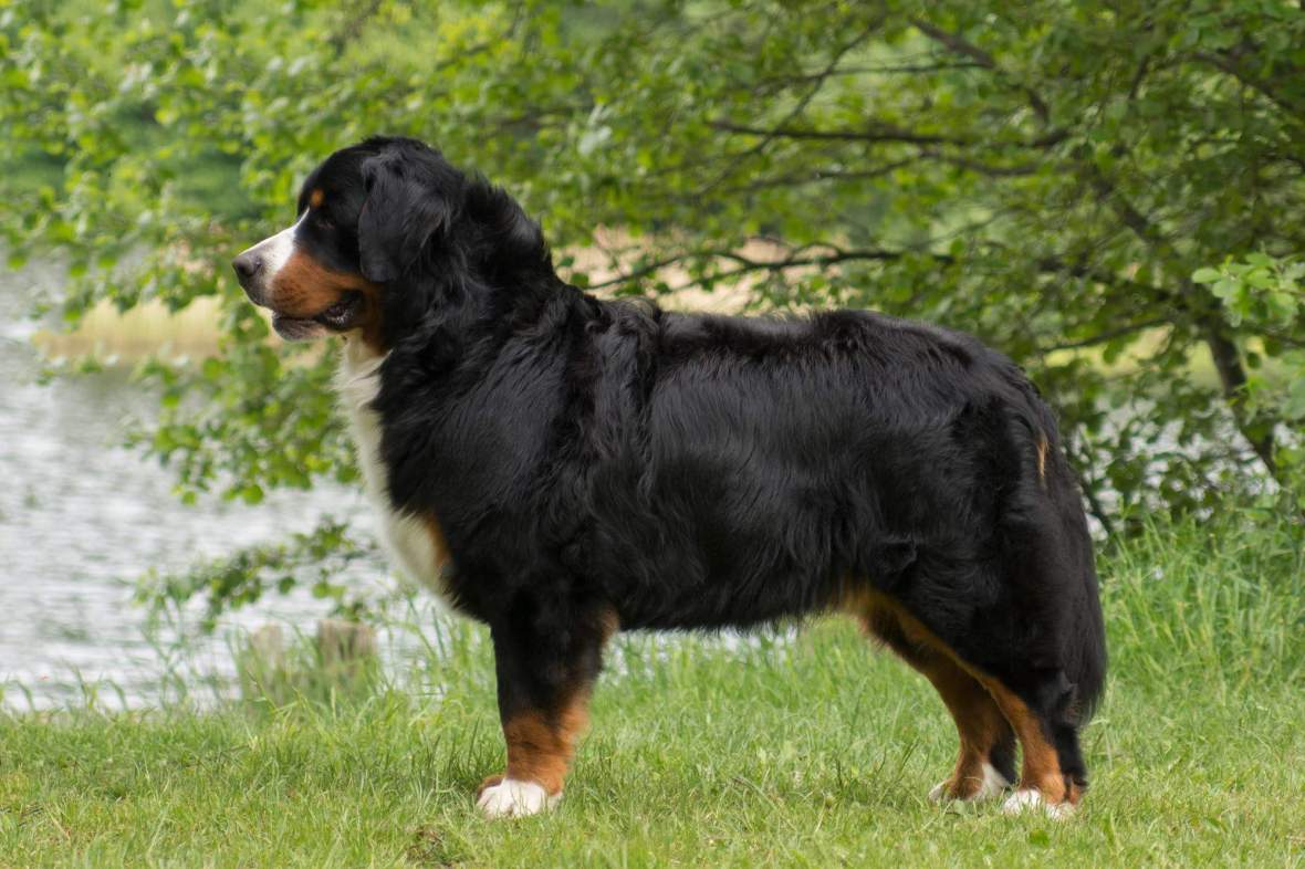 received_10207402784106882