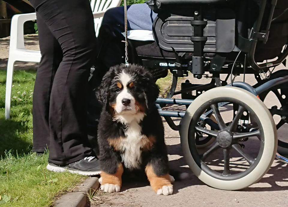 FB_IMG_1500115889500