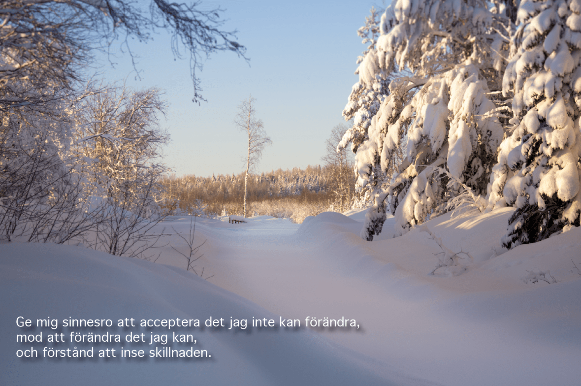 Screen Shot 2017-12-31 at 10.17.03 AM