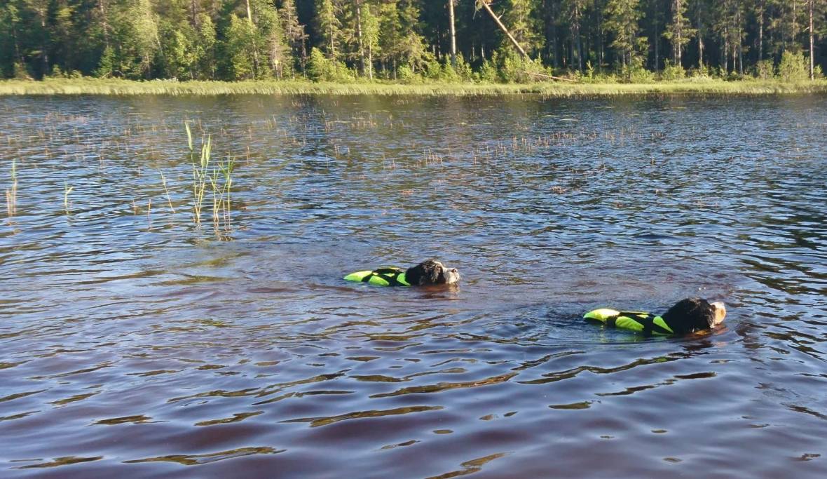 35145190_10155632581846274_911627871095619584_o