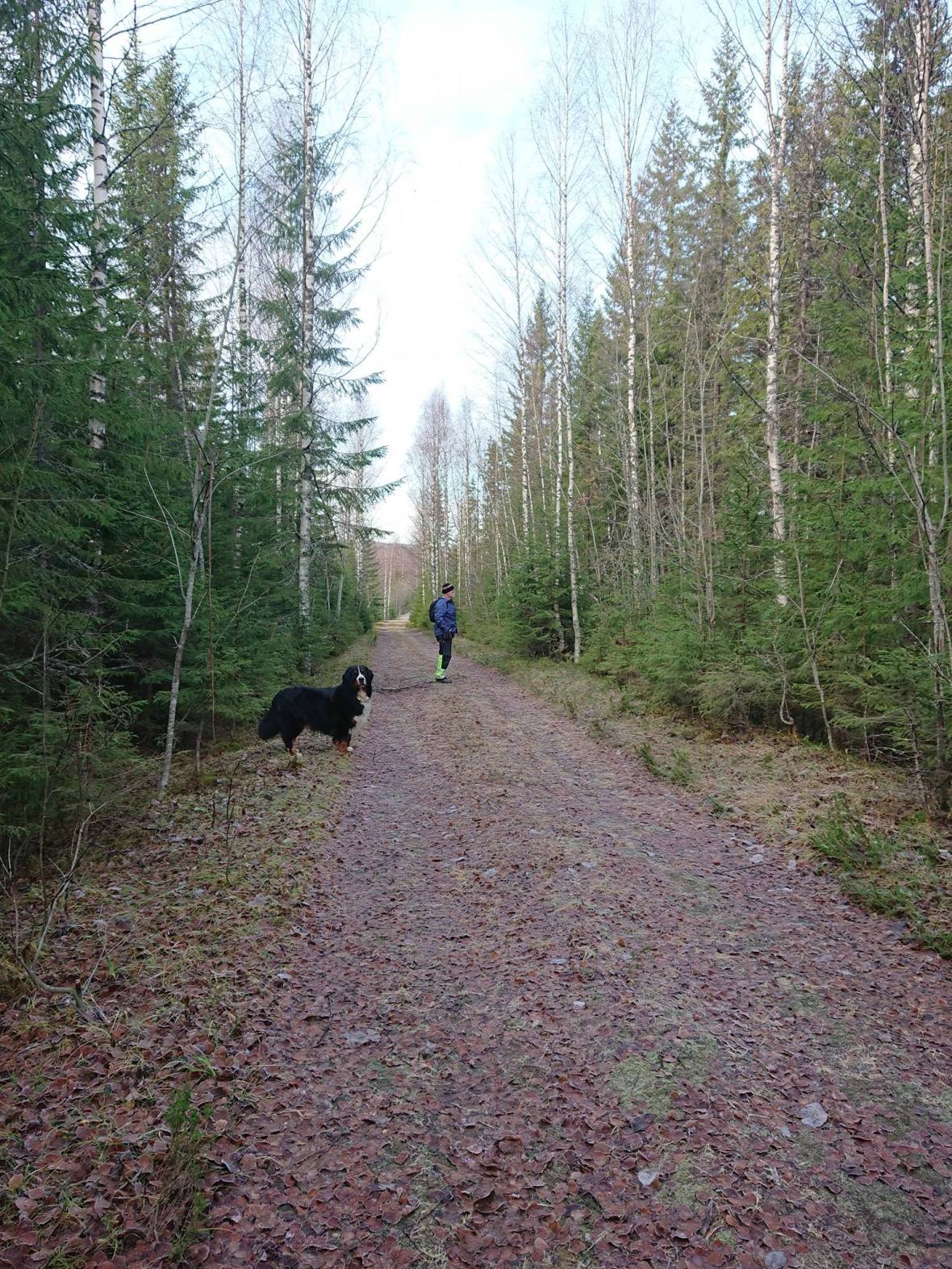 46470639_10155975565461274_1392807698810011648_o (1).jpg